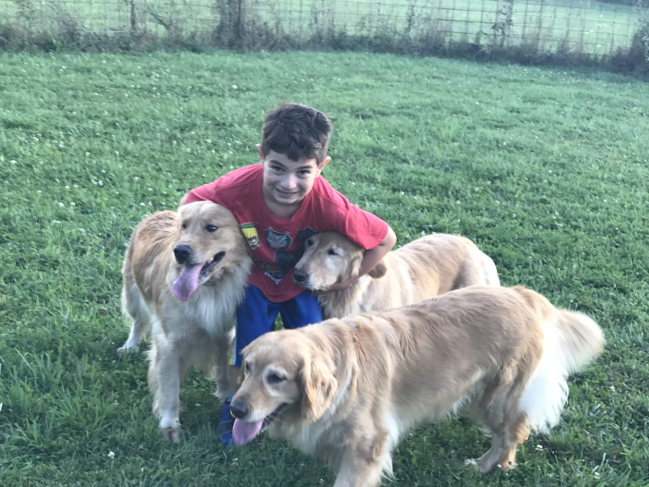 Golden of the Month — coming soon